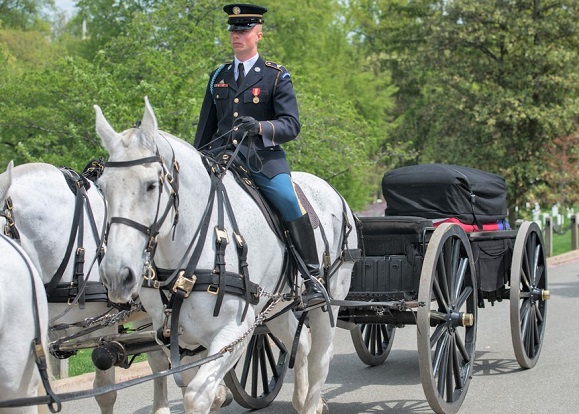 US Army marine funeral at Arlington cemetery coffin on the horse coach