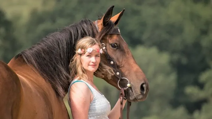 When were horses domesticated.