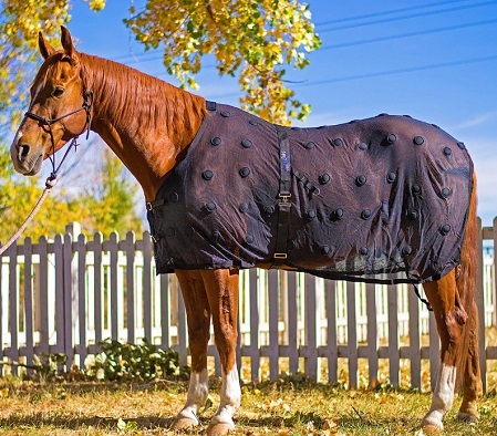 Benefab magnetic horse blanket on a chestnut horse
