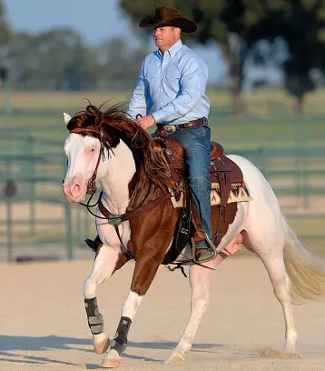 Clinton Anderson horse riding