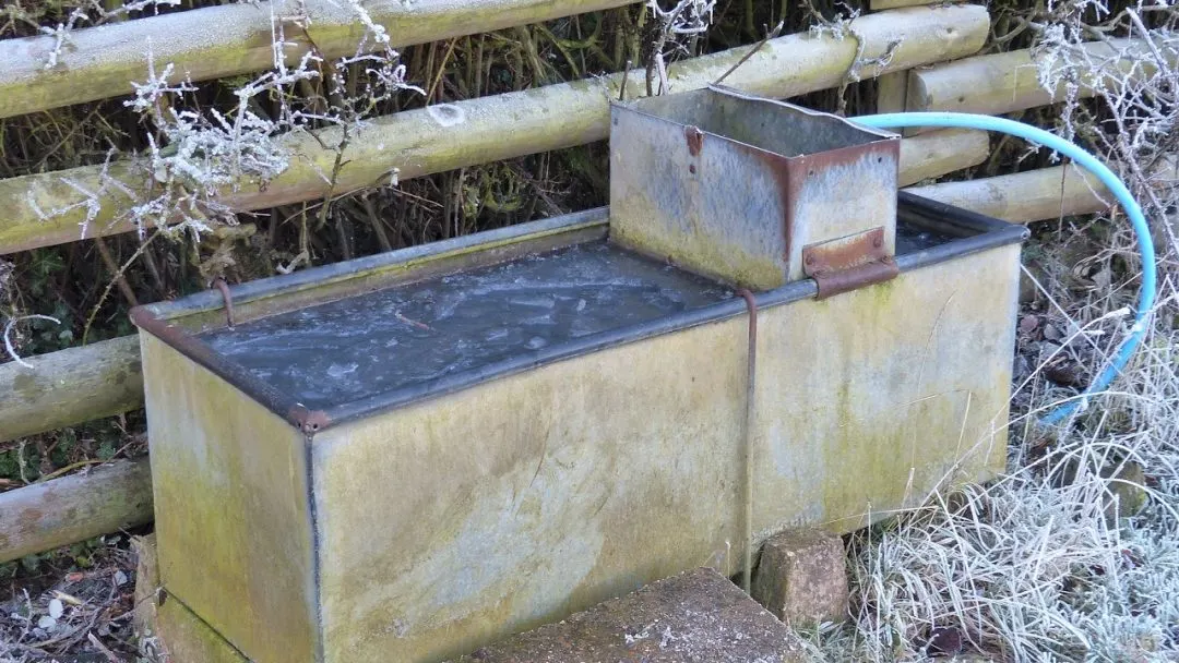 8 Ways to Stop Water Buckets From Freezing