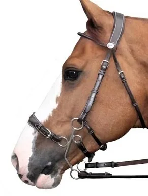 Bitless Bridles Guide: How They Work, Benefits, Types & Best Ones To Buy