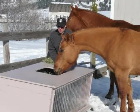 8 Ways to Stop Water Buckets From Freezing