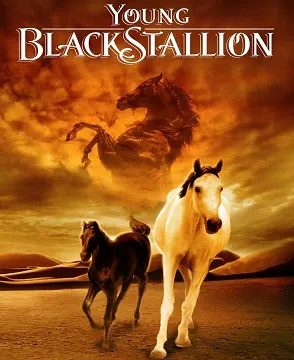 The Young Black Stallion horse movie poster
