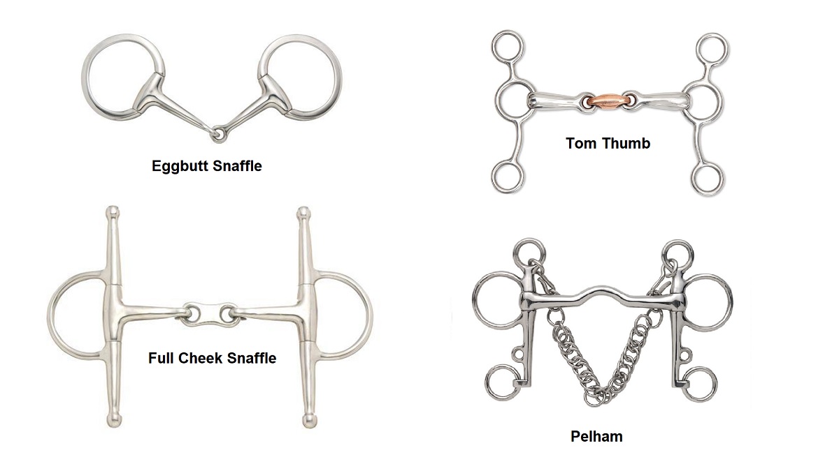 What is a Horse Bit? 16 Types of Horse Bits & Their Uses