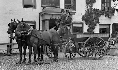 Brake horse drawn carriage