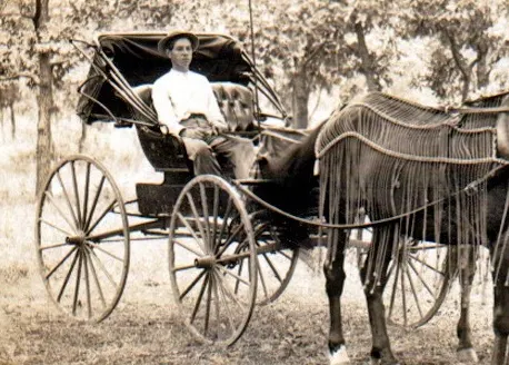 Old photo of a man sitting in a horse drawn buggy