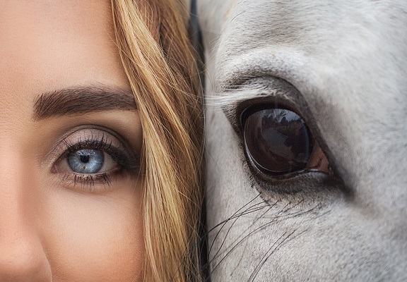 Woman's eye next to a horse's eye