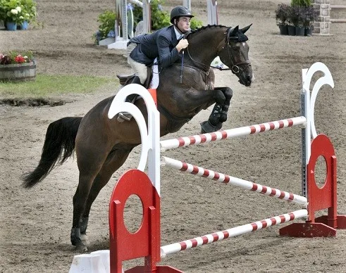 Horse with a rider going over a tall show jumping Olympics fence
