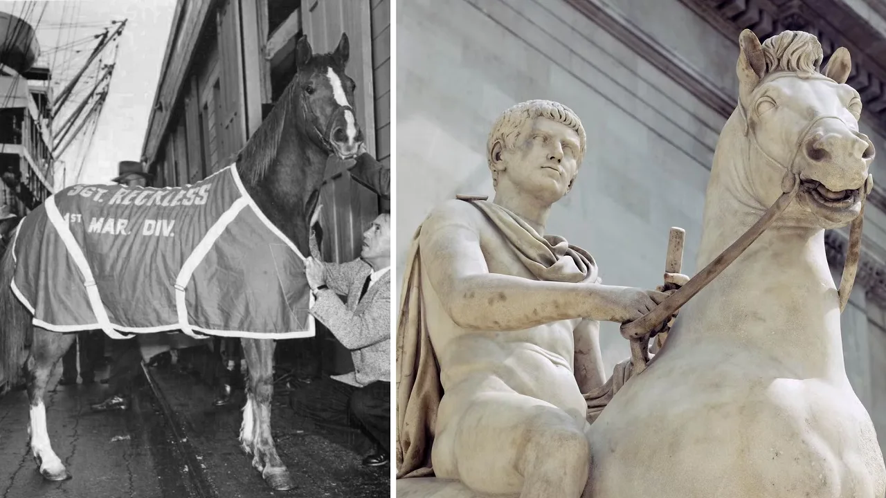 Strange horse stories from history