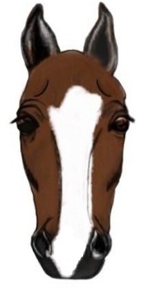 Ilustrasi digital muka kuda dengan tanda muka api putih