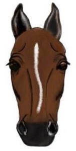 15 Common Horse Face Leg Markings With Pictures