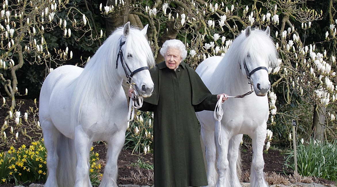 Who Will Inherit Queen Elizabeth's Beloved Horses and Dogs?