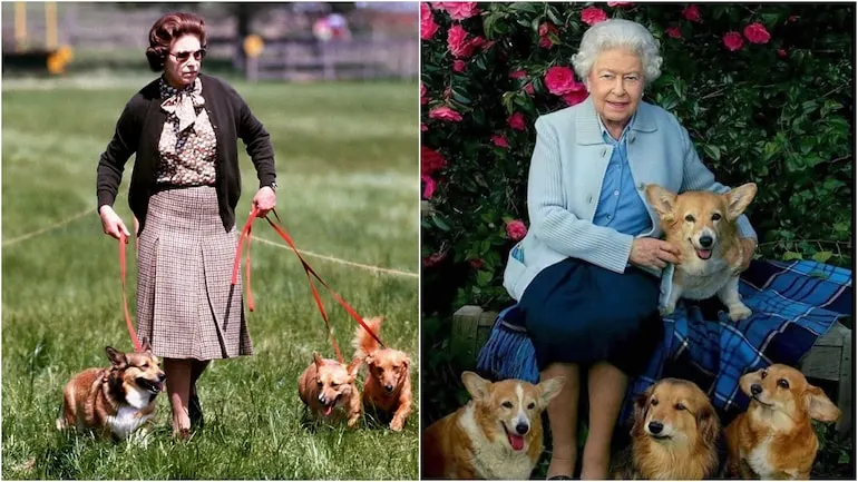 Two photo's of Queen Elizabeth and her corgis