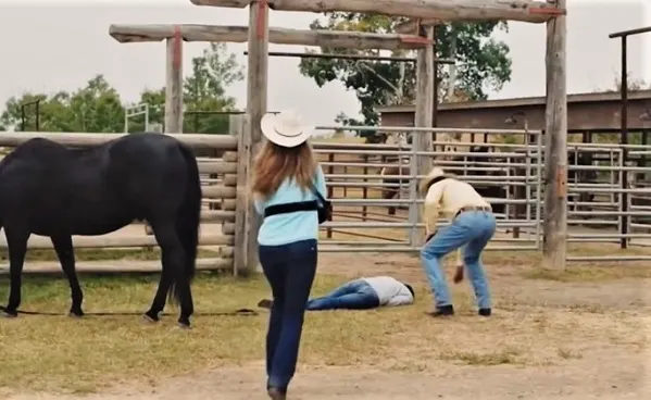 Ty Borden collapsing and dieing soon after on Heartland