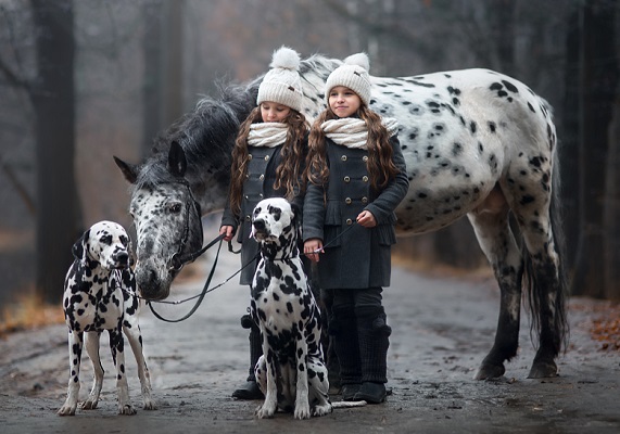 Two Dalmatian dogs being held by identical twin girls with an Appaloosa horse in the background