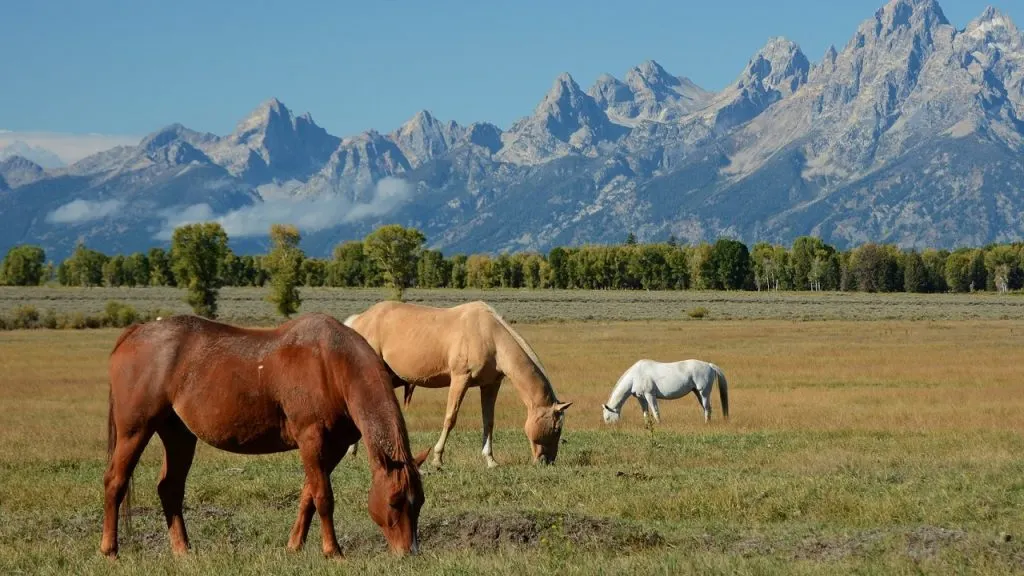 10-biggest-ranches-in-wyoming