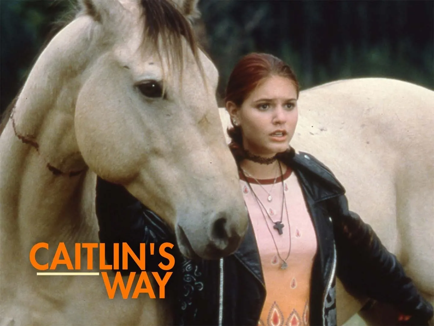 Caitlin's Way TV series promotional image