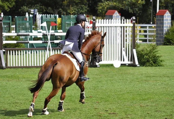 Woman riding a horse in the show jumping phase of an eventing competition