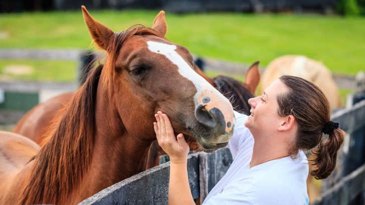 Woman stroking a chestnut colored horse over a fence
