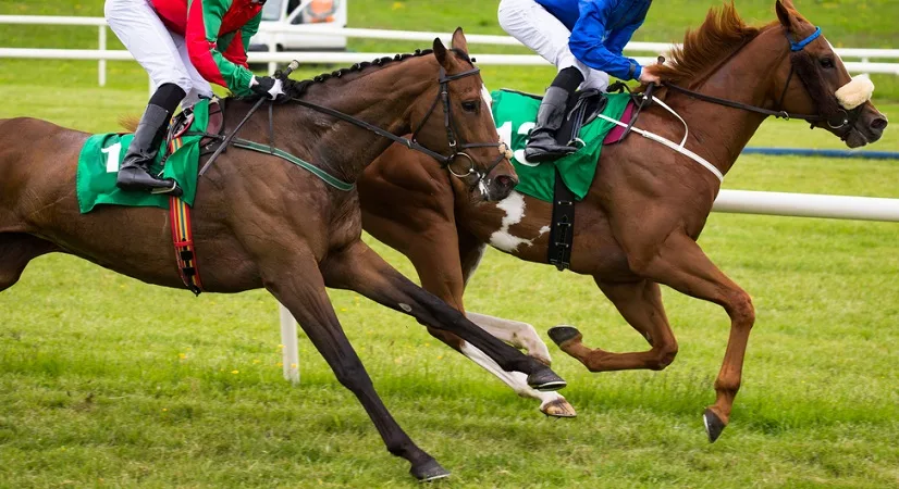 Close up on two racehorses and jockeys competing for position on a grass surface track