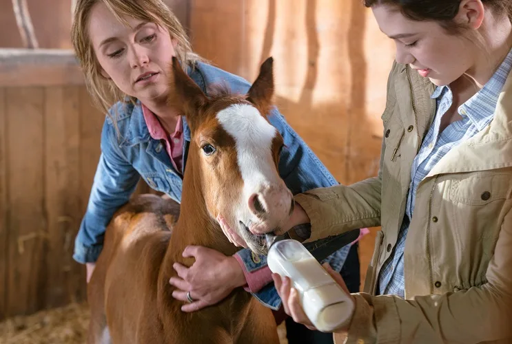 Georgie Fleming-Morris feeding a foal milk through a bottle in a stable while Amy Fleming helps to hold the foal