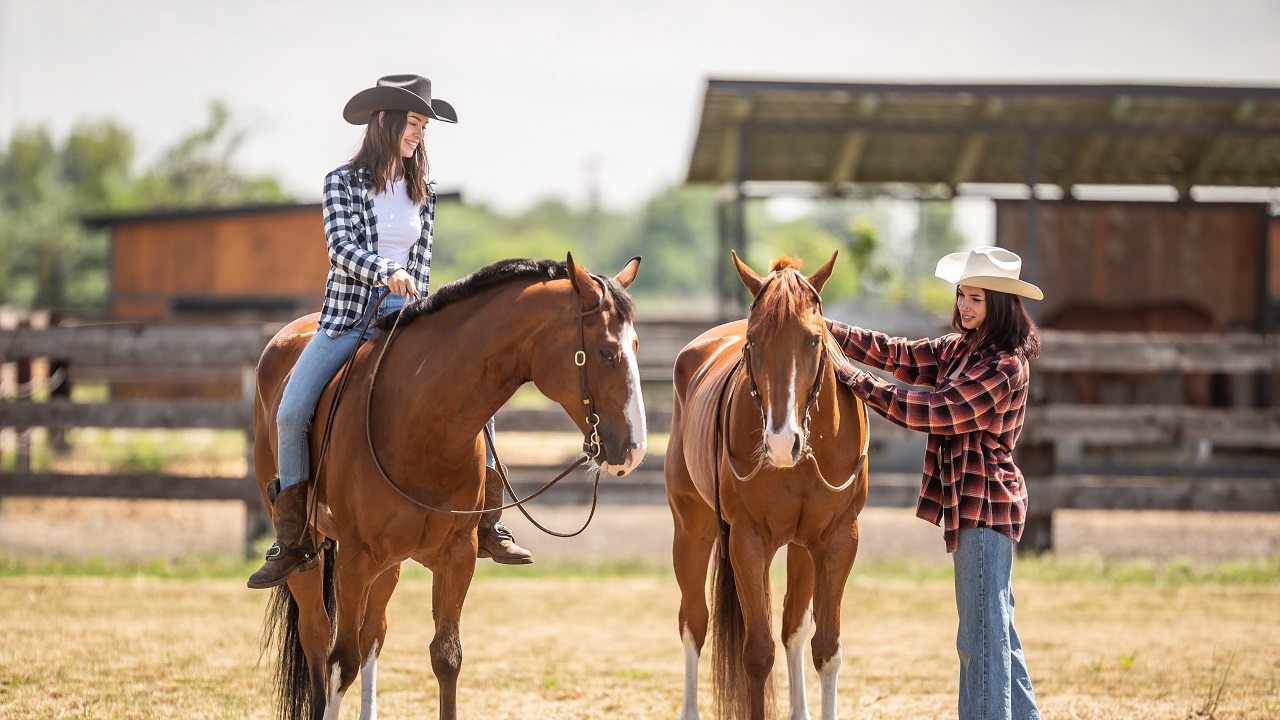 8 Best Guest & Dude Ranches In Texas To Visit