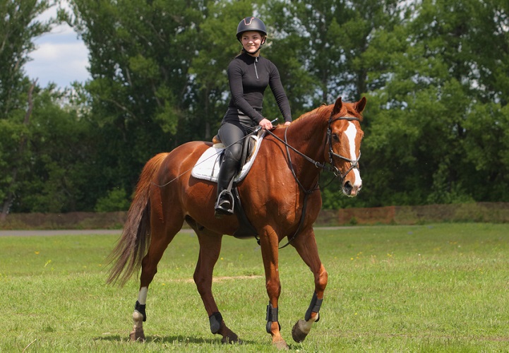 Young woman riding sportive dressage horse in summer fields