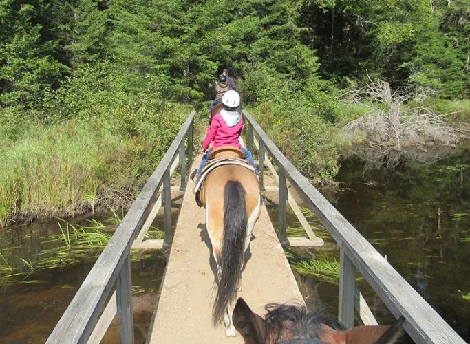 Adirondack Saddle Tours in New York