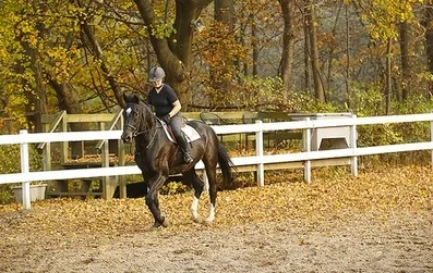 Heberle Stables in New York
