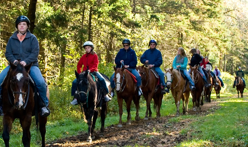 19 Best New York Horse Riding Trails, Beaches, and Centers