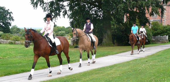 Chesire Horses and Spa holiday in Cheshire, England