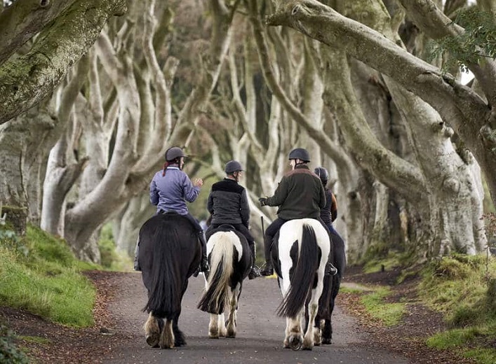 Game of Thrones Riding Experience along the Kings Road