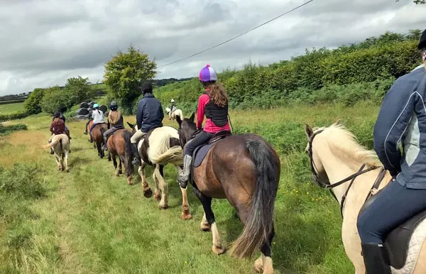 Pine Lodge Riding on Exmoor national park