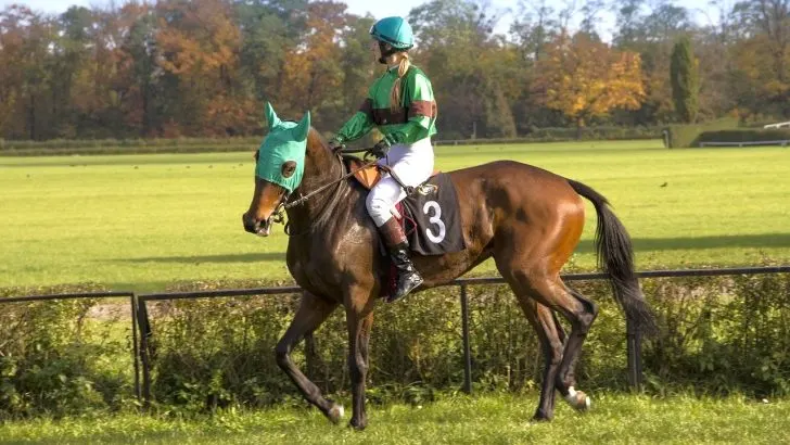 Racehorse and jockey warming up before the start of a race