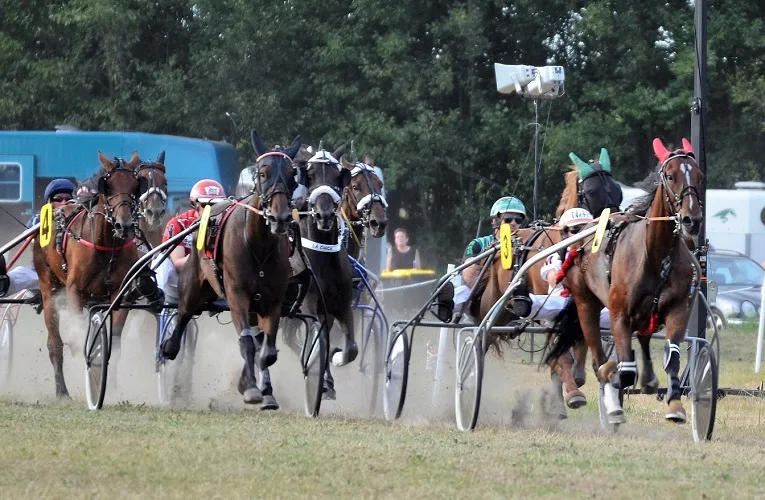 Several horses and jockeys during a harness race