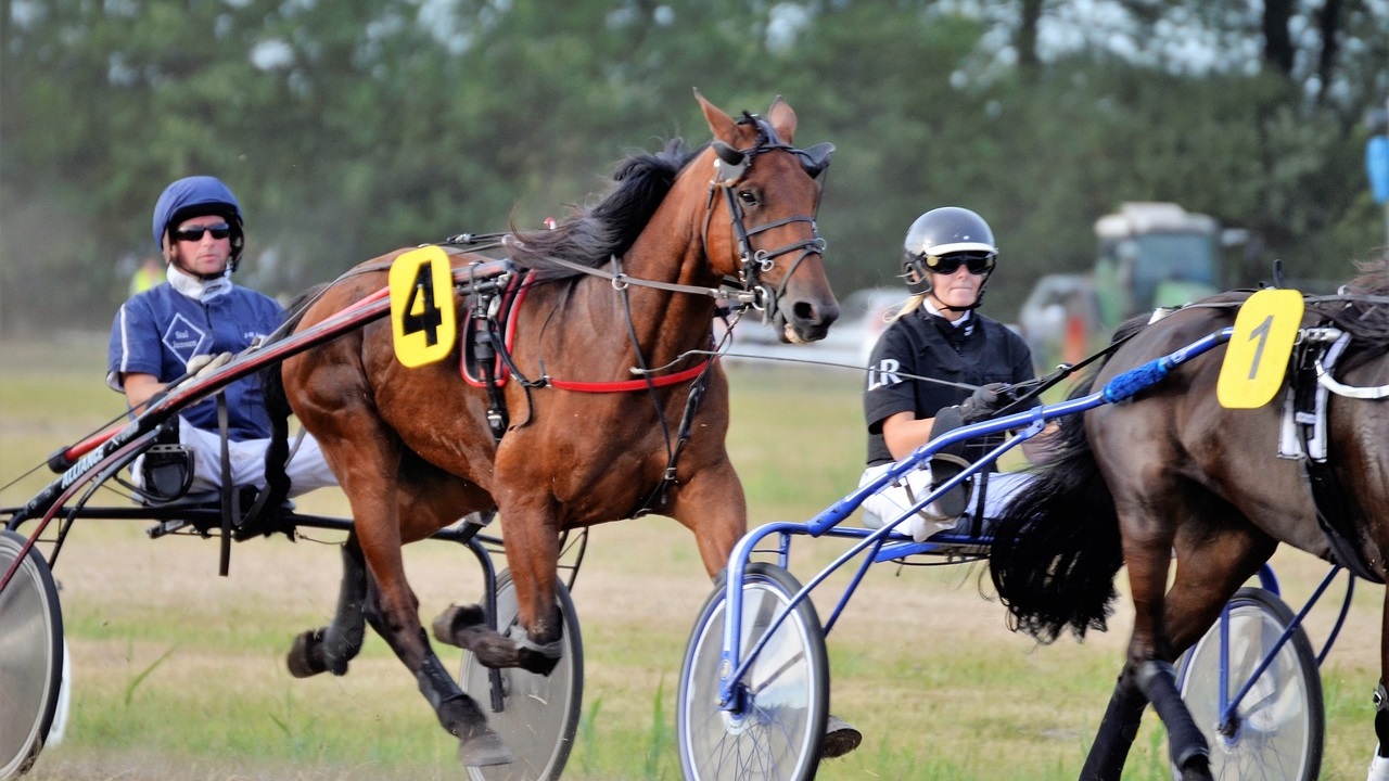 What Is Harness Racing? History, Rules, Breeds, Types, FAQs & More
